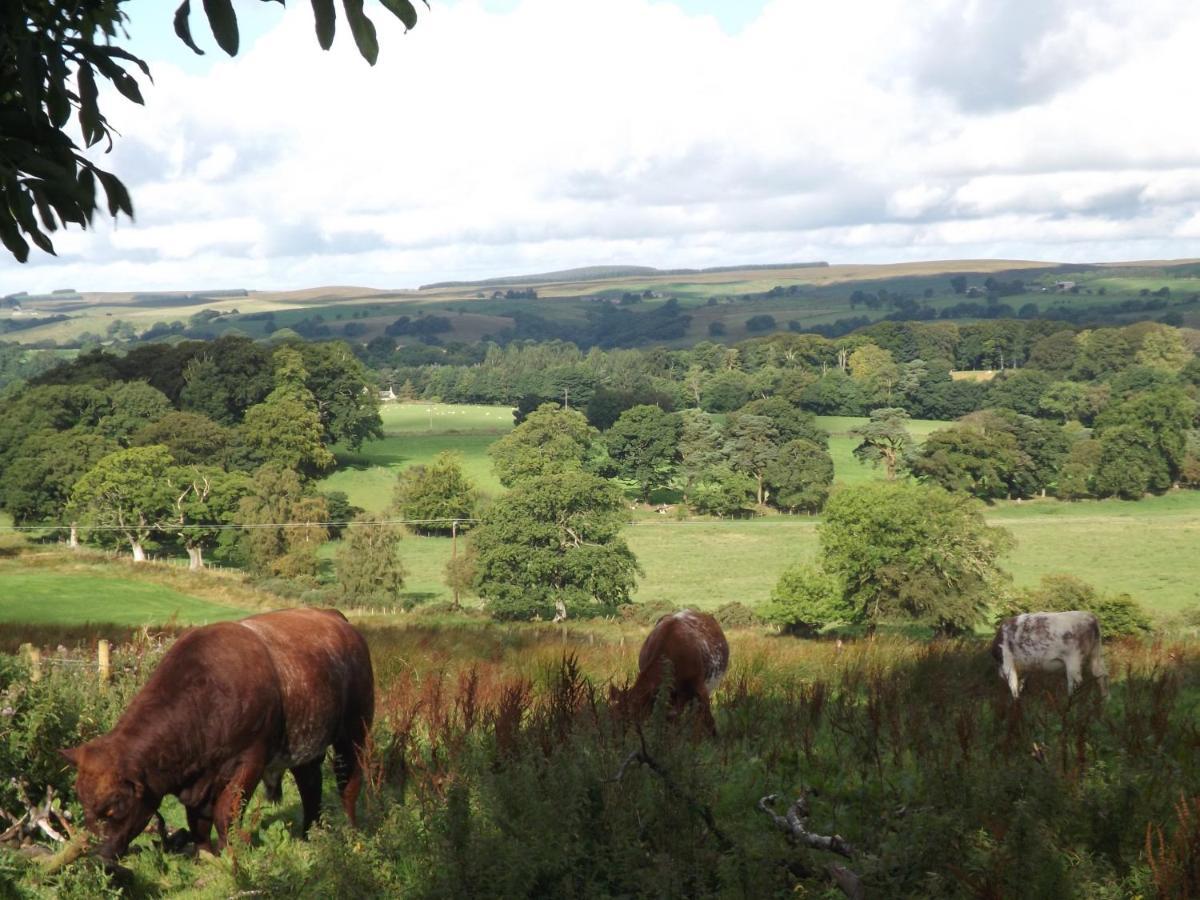 Hillis Close Farm Cottage ฮอลท์วิสเซิล ภายนอก รูปภาพ